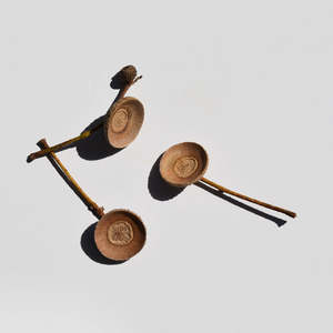 Pods Gourds: Natural Acorn Caps (Cupules)