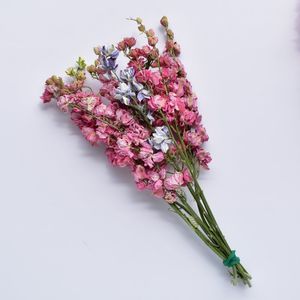 Dried Larkspur - Mixed colour