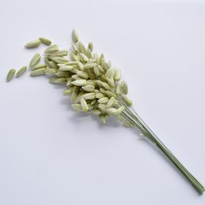 Briza Quaking Grass Stems - Dried