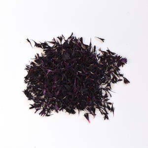 Flowers: Purple Cornflower Petals NZ