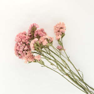 Statice Stems - Dusky Pink