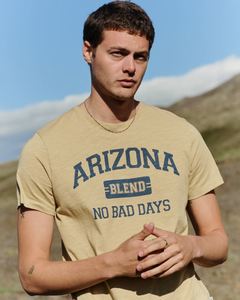 Blend Menswear: Blend Arizona Print Tee - Prairie Sand