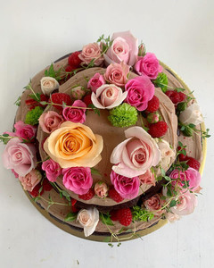 Products: EXTRA LARGE CAKE Tomboy