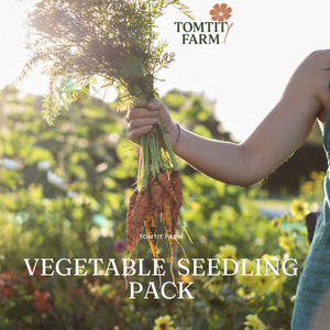 Vegetable Seedling Pack Tomtit Farm
