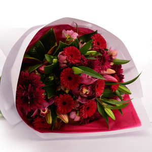 Florists Choice Reds