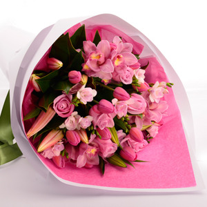 Florists Choice Pinks