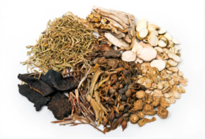 白薇草500g – 新西兰同德堂药业有限公司