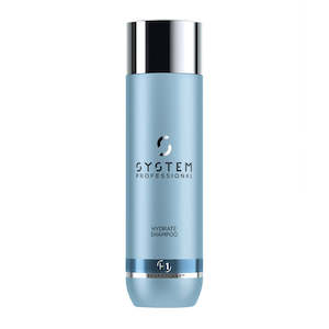 System Professional: System Professional Hydrate Shampoo 250ml