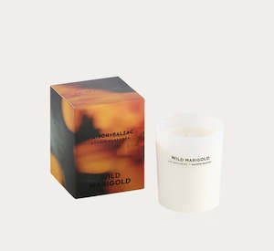 Candles: Wild Marigold