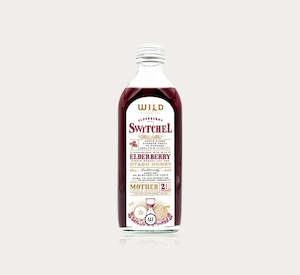 Elderberry Switchel