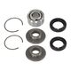 Whites Shock Bearing Kit