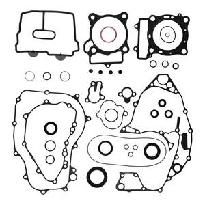 Complete Gasket Set with Oil Seals 8110050