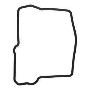 Clutch: Valve Cover Gasket 819163