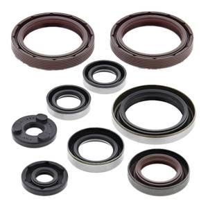 Engine: Oil Seal Kit 822359