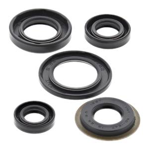 Engine: Oil Seal Kit 822308