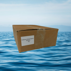 Pilchards: 5KG Charter Special Pilchards