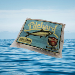 3KG Pilchards