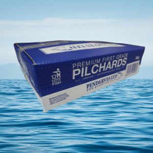 Pilchards: 5KG Pilchards