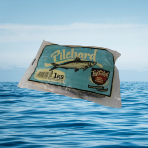 Pilchards: 1KG Pilchards