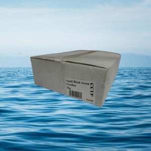 Squid: 5Kg Blood Arrow squid