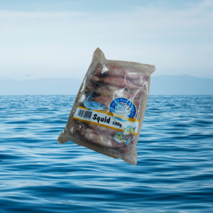 500G Squid
