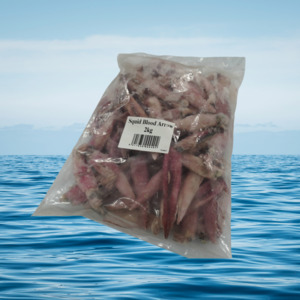 Blood Arrow Squid 2KG