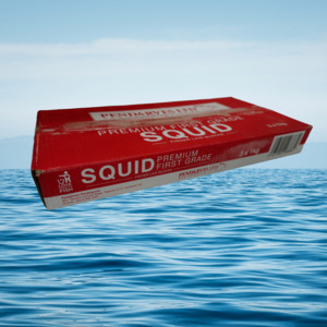 Squid: Squid 3 x 1KG