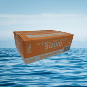 Squid: 5KG Squid