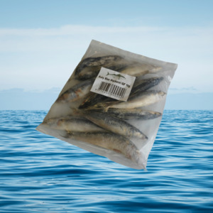Baby Blue Mackerel: Baby Blue Mackerel 1KG