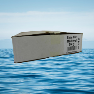 Baby Blue Mackerel 5KG