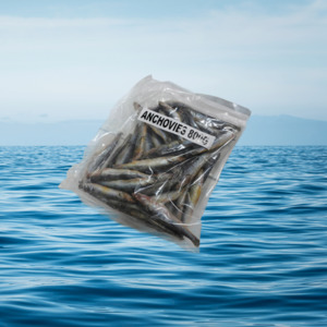 Special Bait: 800g Anchovies