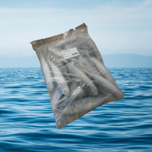 Special Bait: 2KG Jack Mackerel
