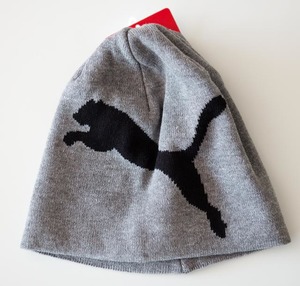 PUMA Big Cat Training Beanie
