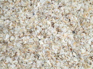Most Popular: Oyster Shell Grit - Fine
