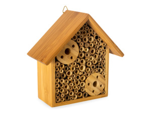 Subscription: The Bug Hut