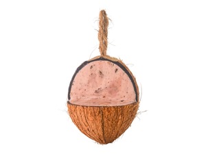 Wild Bird Feed: Bug & Berry Coconut