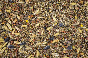 Wild Finch Mix