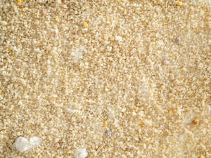 Wild Bird Feed: Wild Bird Nectar