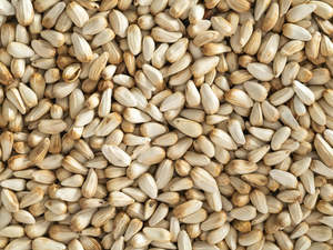 Safflower