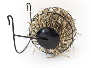 The Forager Hay Feeder