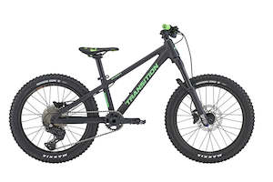 Kids Bikes: Transition Bandit