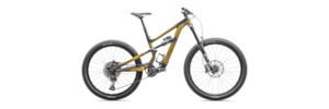 2024 Specialized Status 170 2 Zero