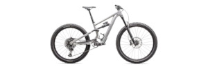 2024 Specialized Status 140 2 Zero