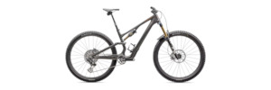 2025 S-Works Stumpjumper 15