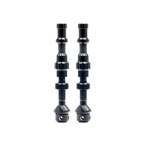 Parts: STAN'S NOTUBES - TUBELESS EXO-CORE VALVE