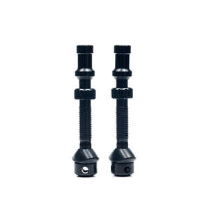 STAN'S NOTUBES - TUBELESS UNIVERSAL+ VALVE