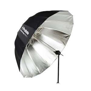 Umbrellas: Profoto Umbrella Deep Large (Silver)