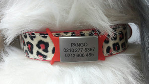 Loopy Tag - Large Topnotch Pukekohe