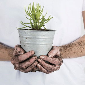 Garden Accessories: Old Zinc Flower Pot 14cm