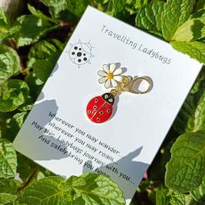 🐞 Ladybug & Daisy Clip Charm